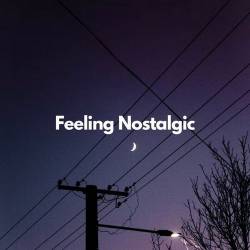 Feeling Nostalgic (2023) FLAC -Pop
