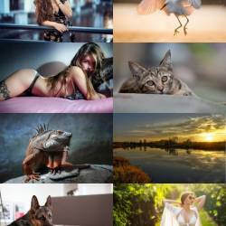 Wallpapers Mix 1144