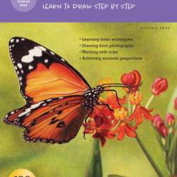 Drawing: Colored Pencil Basics: Learn to draw step by step - Cynthia Knox