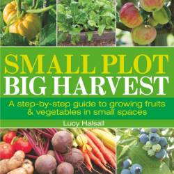 Small Plot, Big Harvest: A Step-by-Step Guide to Growing Fruits and Vegetables in Small Spaces - DK