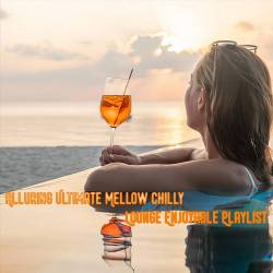 Alluring Ultimate Mellow Chilly Lounge Enjoyable Playlist (2024) FLAC - Jazz