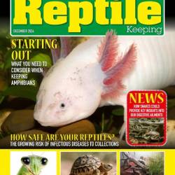 Practical Reptile Keeping - December 2024