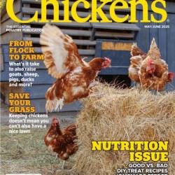 Chickens - May-June 2025