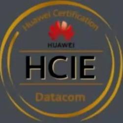Huawei HCIE Datacom Labs - Advanced IGP, BGP, MPLS VPN, EVPN
