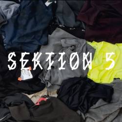 VA - SEKTION 5 (2025)