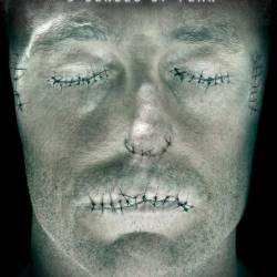 5   / Chilling Visions: 5 Senses of Fear (2013) WEB-DLRip