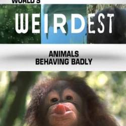    : - / World's Weirdest: Animals Behaving Badly (2013) SATRip