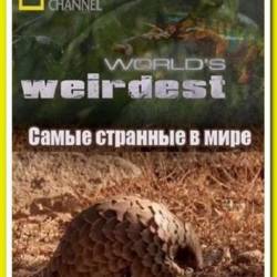 NG.    :   / World's Weirdest: Shocking food (2013) HDTVRip