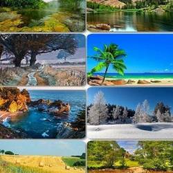 Beautiful Nature Wallpapers 65