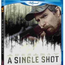   / A Single Shot (2013)