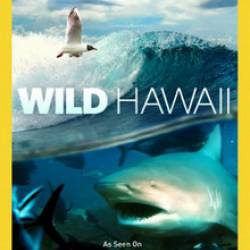   / Wild Hawaii (2012) HDTVRip 720p