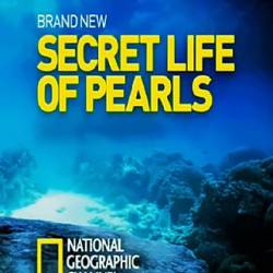    / The Secret Life of Pearls (2015) HDTV 1080i