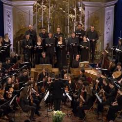  -    -   -  "" /Bach - Saint Matthew Passion BWV 244 - Raphael Pichon - Pygmalion - Chateau de Versailles/ (    - 2016) HDTVRip