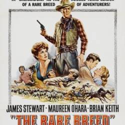   / The Rare Breed (1966) DVDRip-AVC