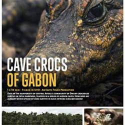    / Cave Cross of Gabon (2018) HDTV 1080i