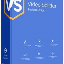 SolveigMM Video Splitter 7.3.2002.06 Business + Portable