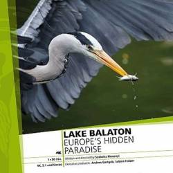   -   / Lake Balaton - Europe's Hidden Paradise (2020) HDTVRip 720p