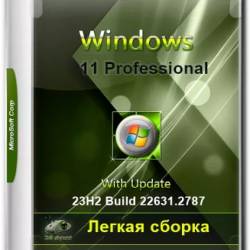 Windows 11 23H2 Professional 22631.2787 Lite