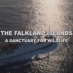  .    / The Falklands Islands A Sanctuary for Wildlife (Gr&#233;gory Martoglio/ ) (2021) , HDTV 1080i