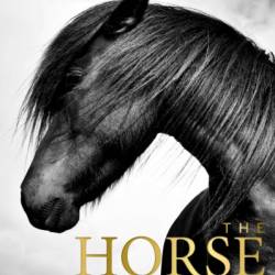 Chosen by a Horse - Susan Richards