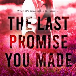 The Last Promise You Made - Lj Evans