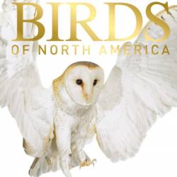 American Museum of Natural History: Pocket Birds of North America, Eastern Region: The Ultimate Photographic Guide - Stephen Kress