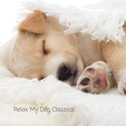 Relax My Dog Classical (2024) - Relax, Classical