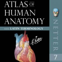 Atlas of Human Anatomy: Latin Terminology E-Book: Atlas of Human Anatomy: Latin Terminology E-Book - Frank H. Netter MD