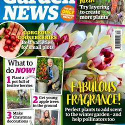 Garden News - 7 December 2024