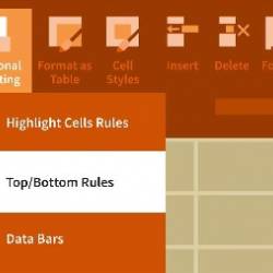 Excel 2013: Advanced Formatting Techniques