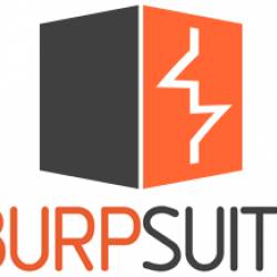 Burp Suite Professional 2025.3.4