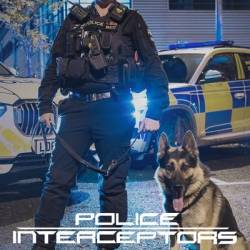 Police Interceptors S24E03 1080p HEVC x265-MeGusta