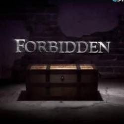  .   / Forbidden (2013) WEBRip