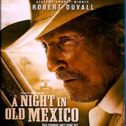 A Night in Old Mexico 2013 480p BRRip