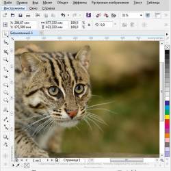 Portable CorelDRAW Graphics Suite X7 17.2.0.688