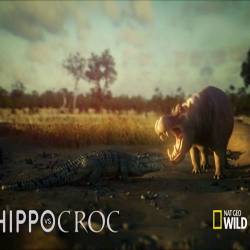    / Wild-Hippo vs Croc (2013) SATRip
