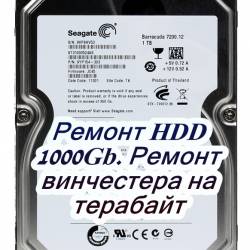  HDD 1000Gb.     (2015)