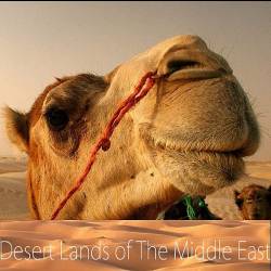      (1 : 1-2   2) / Desert Lands Of The Middle East (2015) HDTVRip (720p)