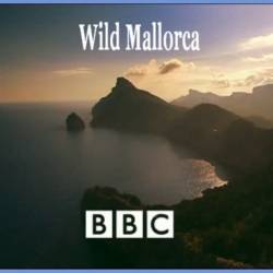 BBC.   / Wild Mallorca (2006) SATRip