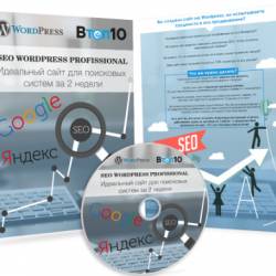 SEO wordpress professional (2018) 