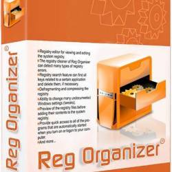 Reg Organizer 8.20 Final + Portable