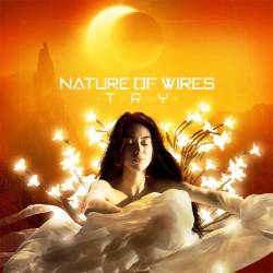 Nature Of Wires - Try (Maxi-Single) (2019) MP3