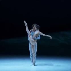  -  -     .. /Jean-Christophe Maillot - La Belle - P.I.Tchaikovsky - Forum Grimaldi - Ballet de Monte Carlo/(  -  - - 2016) HDTVRip