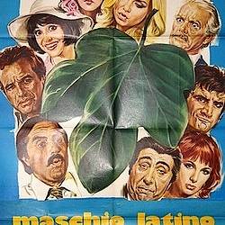    / Maschio latino cercasi (1977) SATRip