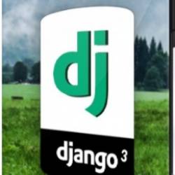   Django 3.1 -     Junior Developer (2020) 