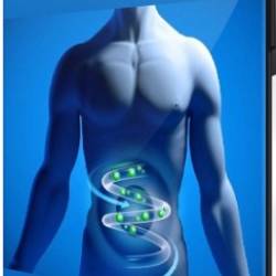 ��� ���������� �� 90% ����� � ������ ��������� (2021) ��������