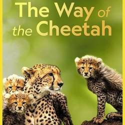  /   / The Way Of The Cheetah (2022) HDTVRip 720p - , , , 