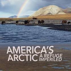   -     / Americas Arctic  A Refuge Imperiled (2020) HDTVRip 720p - , , , 