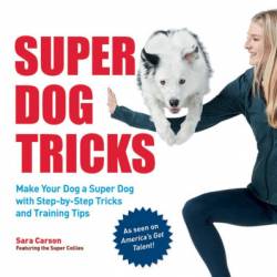 Super Dog Tricks: Make Your Dog a Super Dog with Step by Step Tricks and Training Tips - As Seen on America's Got Talent! - Sara Carson