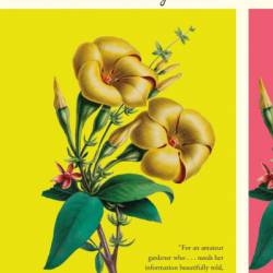 My Favorite Plant: Writers and Gardeners on the Plants They Love - Jamaica Kincaid (Editor)